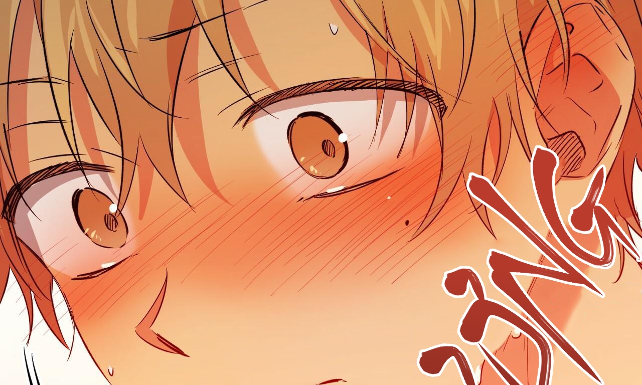 những chú thỏ của hapypy chapter 53 266