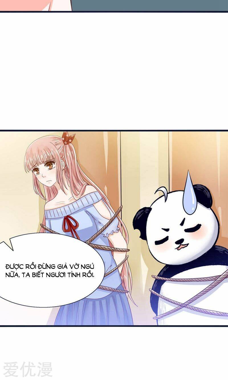 tôi bị gấu trúc nhìn trúng rồi chapter 21 37