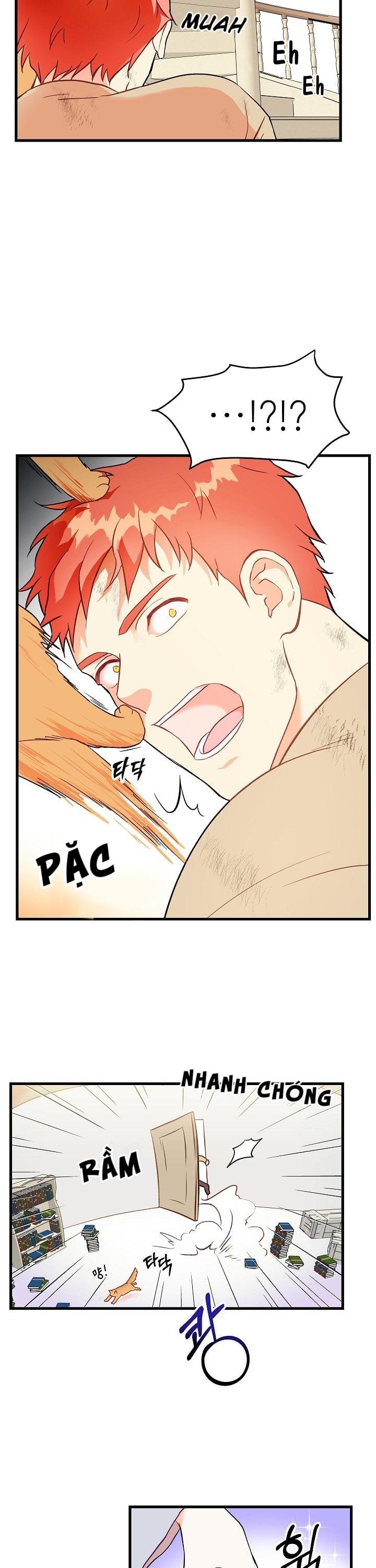 phù thủy gợi tình chapter 1 14