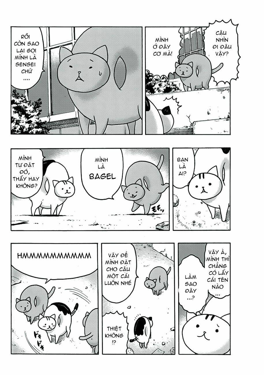 donyatsu chapter 1 11