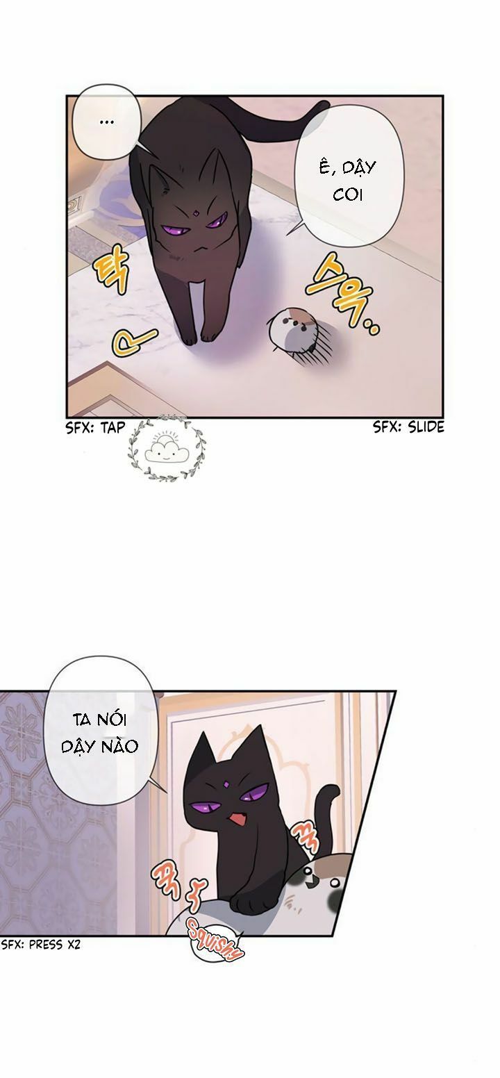 tôi đang nuôi dưỡng một con quái thú chapter 5 8