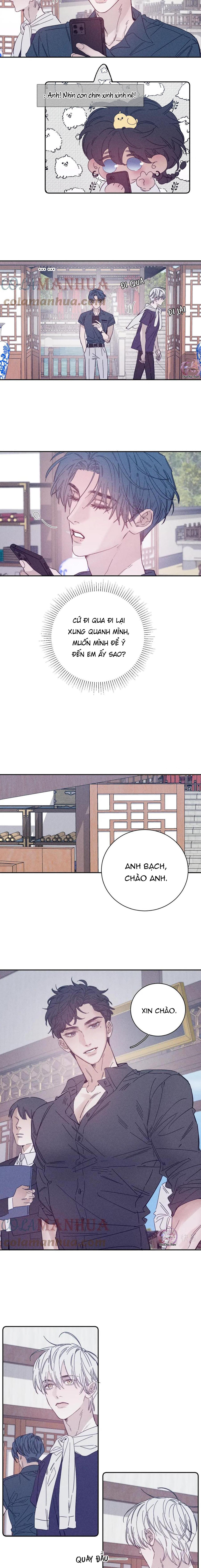 mùa xuân đang đến chapter 86 7