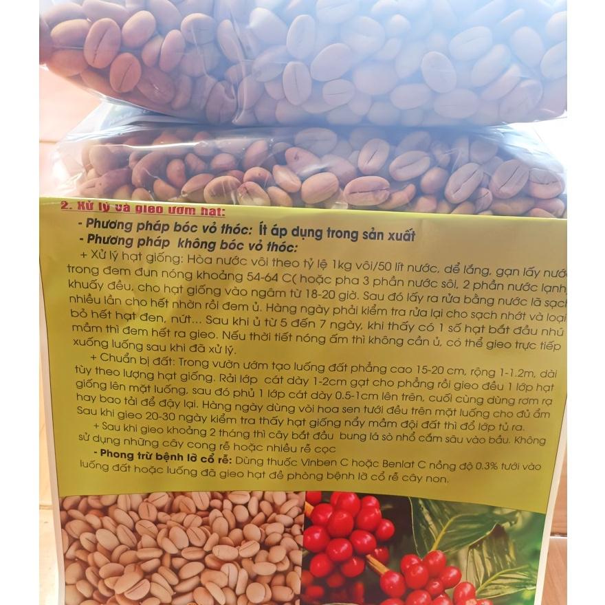 1 kg hạt giống cà phê Thiện Trường cao sản