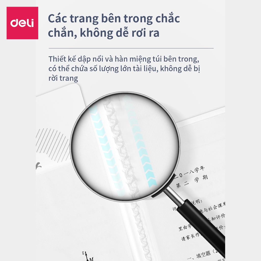 File Lá Học Sinh A4 Deli - 30/40 Lá - Xanh Dương/Hồng/Trắng - 1 Chiếc - 72493 / 72494