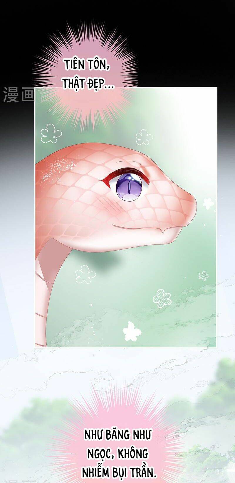 kiều phu có hỉ chapter 67 17