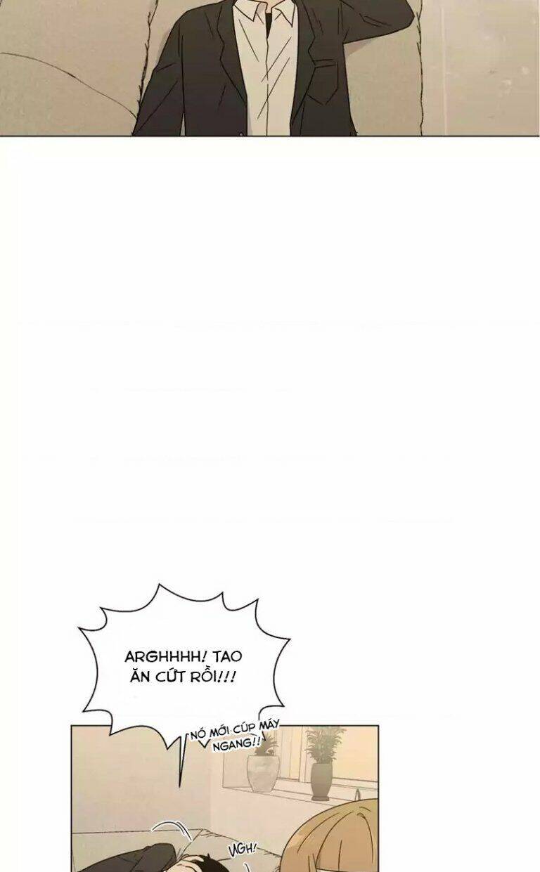 …”một sự thật khá khó chịu.” chapter 50 49