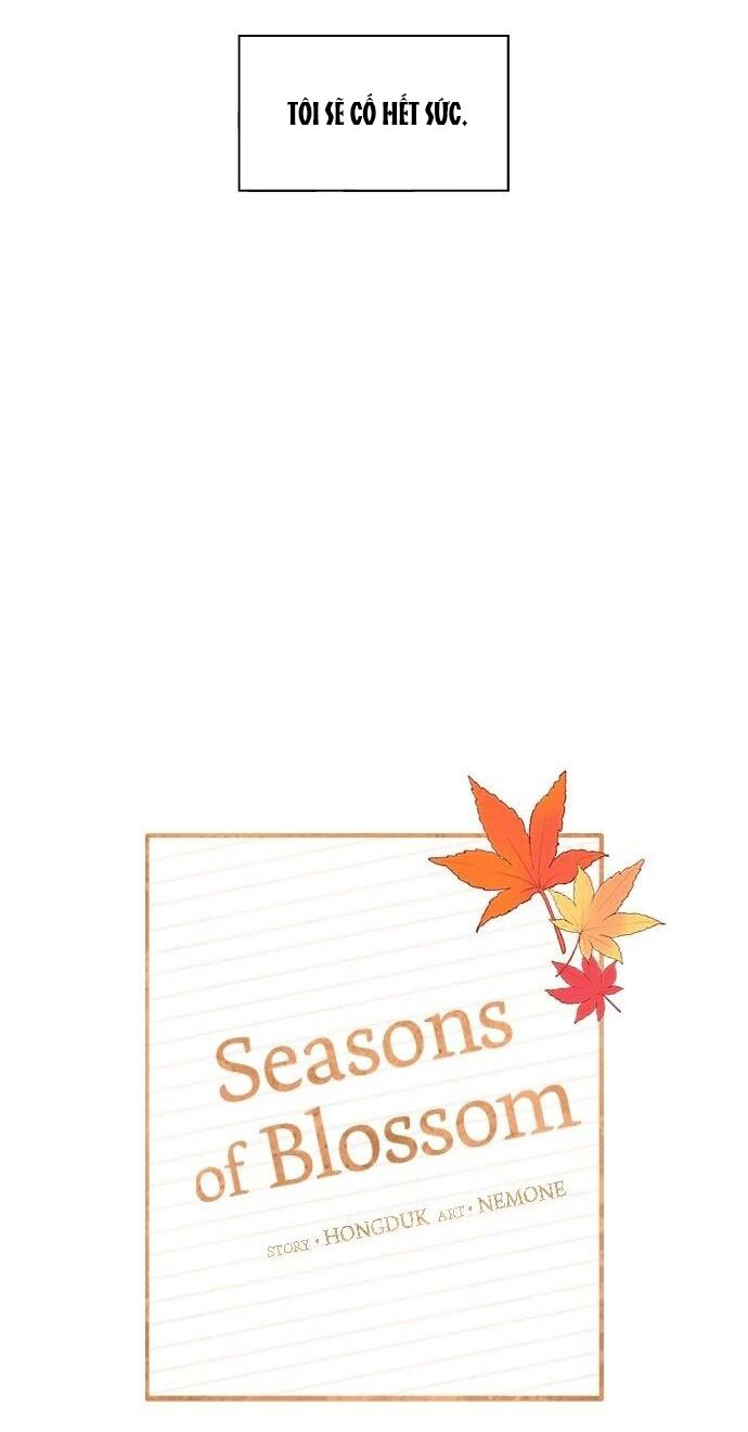 thanh xuân rực rỡ - season of blossom chapter 91 31