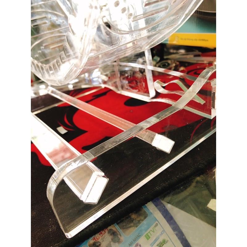 Vòng quay thể dục, wheel dành cho nhím, size siêu to 30cm