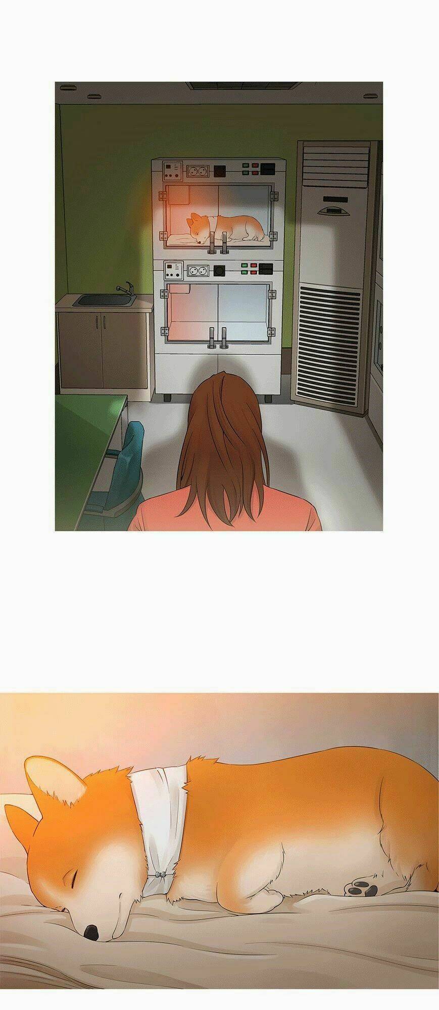 trái tim của một người bạn chapter 10 25