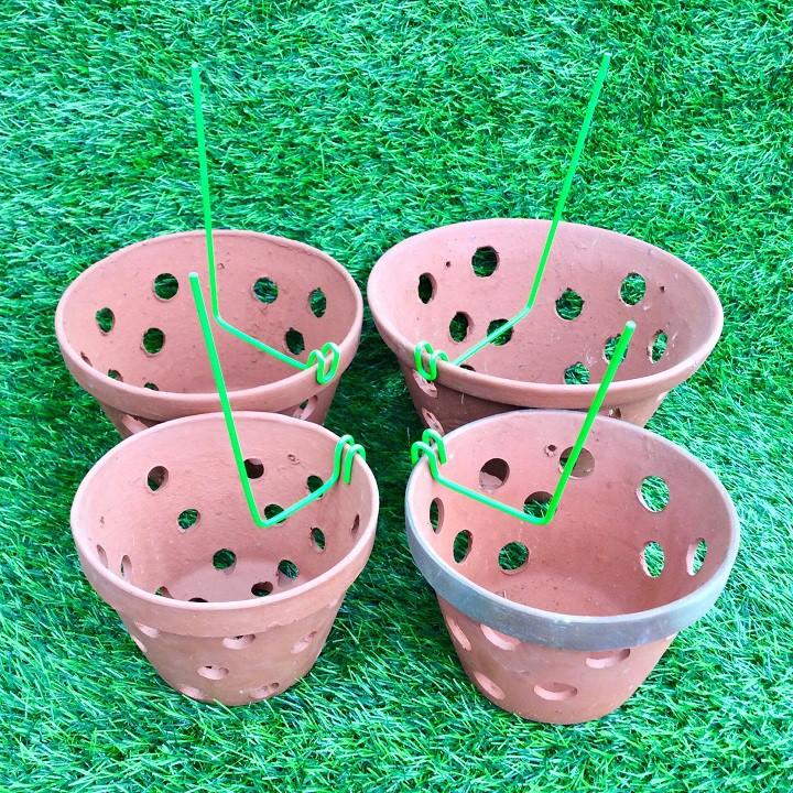 Set 20 que kẹp chậu giữ lan loại chưa uốn độ dài 30cm