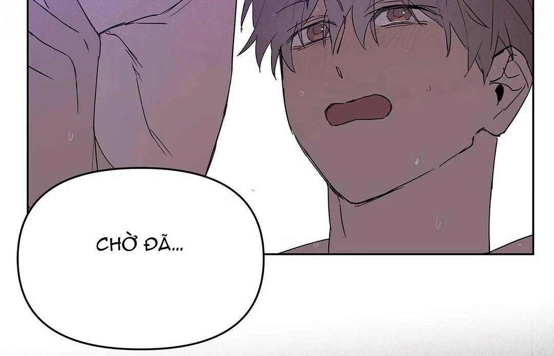 guide cấp b chapter 21 39