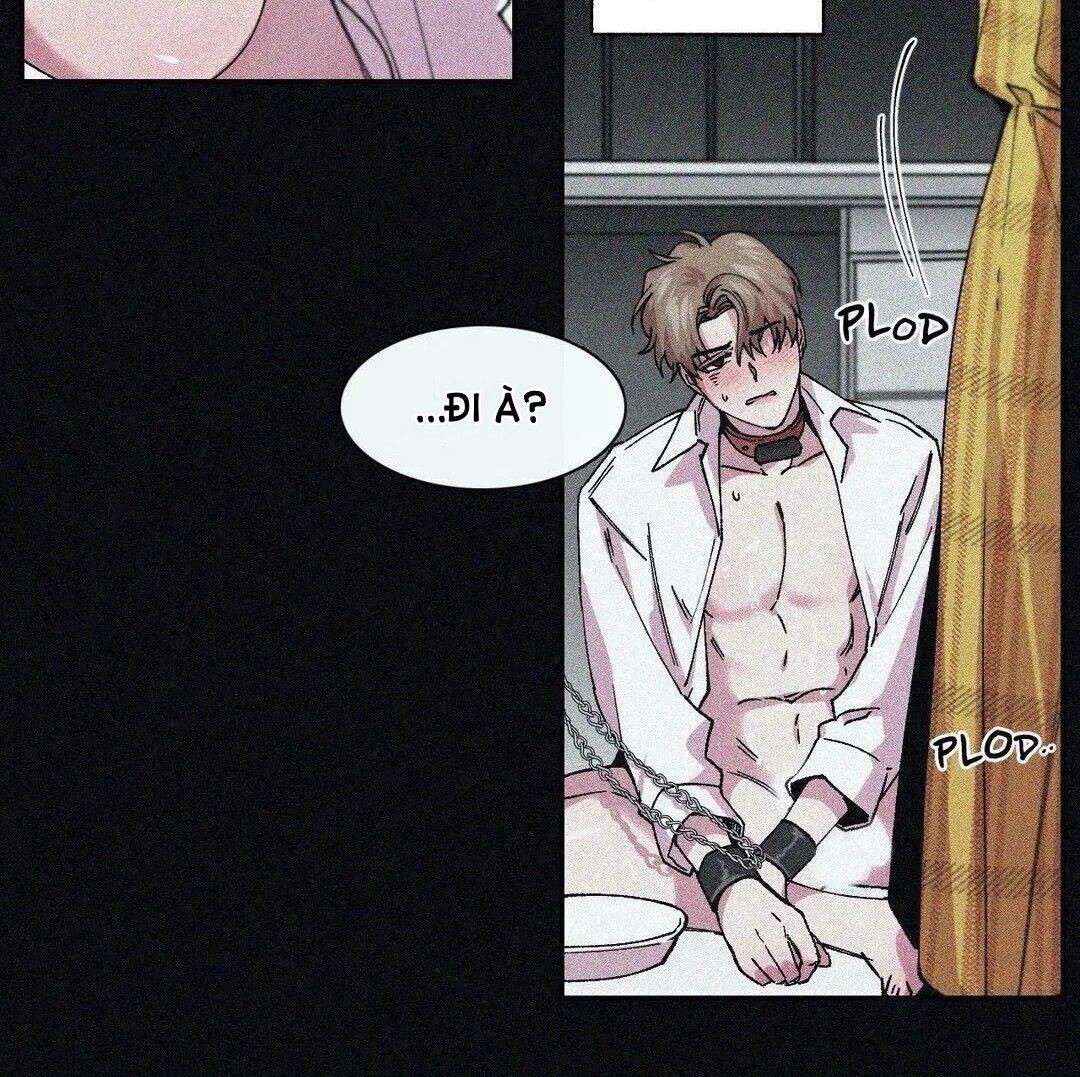 s flower chapter 70.1 25