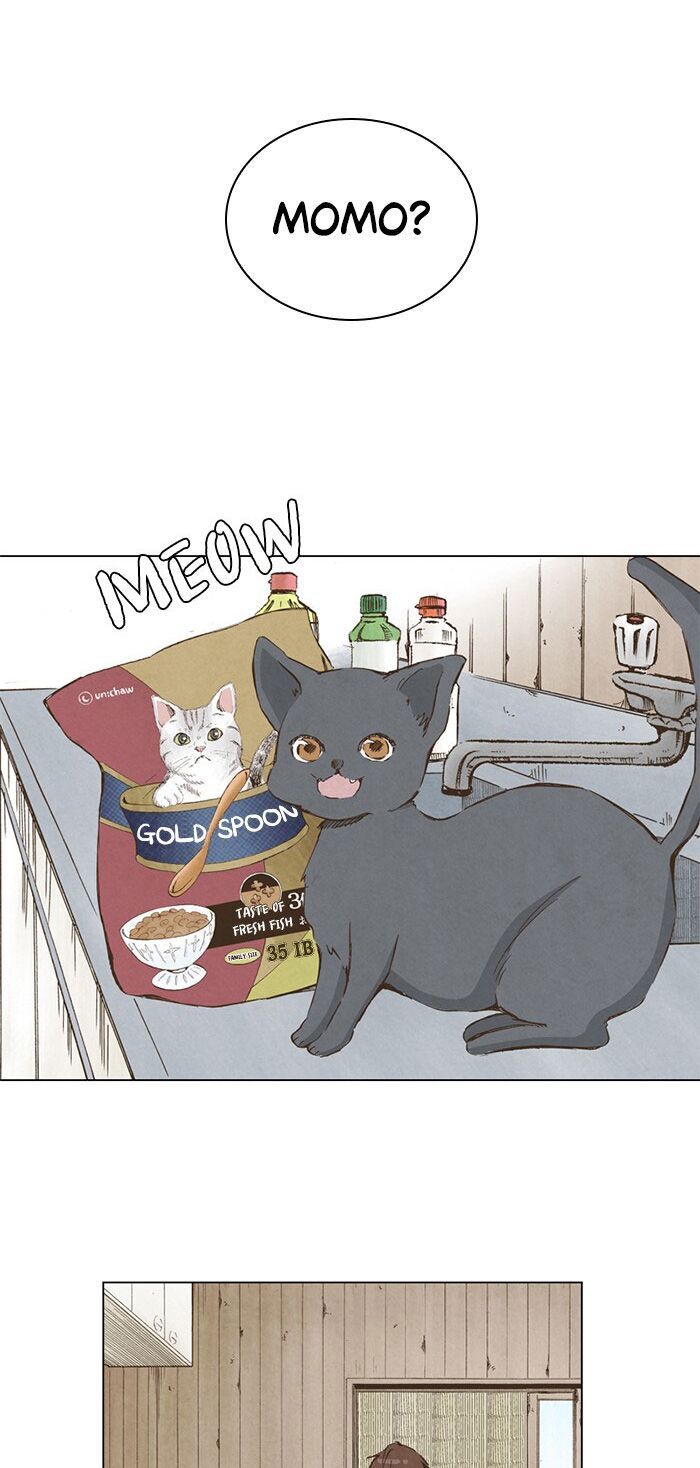 honey! honey! marry me! chapter 37 14