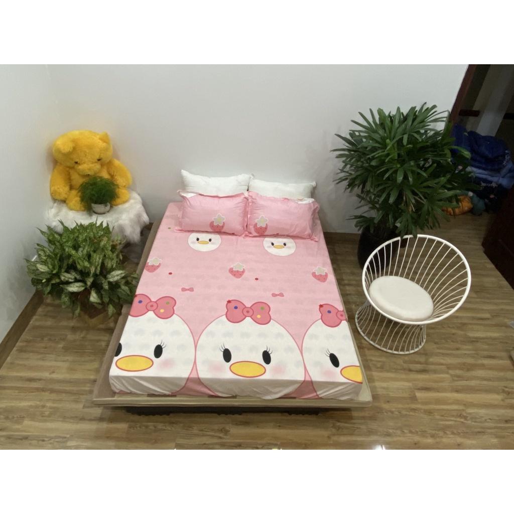 Set ga 3 món 1 ga chun và 2 vỏ gối các kích thước