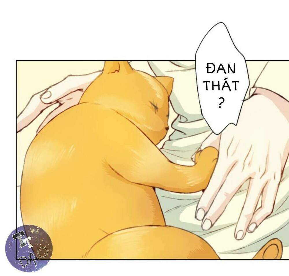 tôi không phải đa nhân cách chapter 12 28