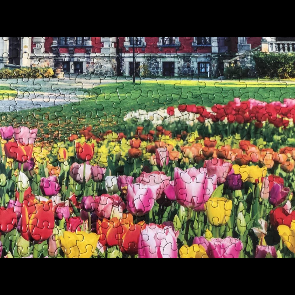 Tranh Ghép Hình 1000 Mảnh Hồ Đầy Màu Sắc Jigsaw Puzzle Randomcut 1000 Pcs