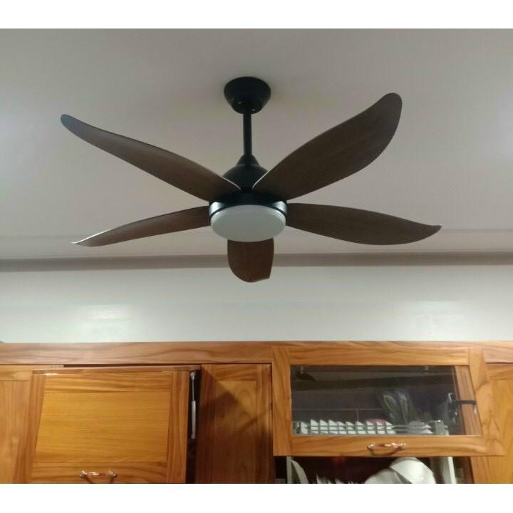 Quạt Trần Đèn - Quạt Trần Trang Trí Phòng Khách, Phòng Ăn Cao Cấp