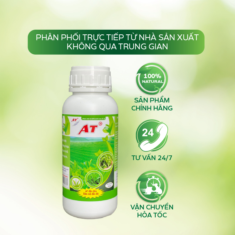 Phân Bón Kích Thích Bật Búp Cho Cây Chè Đậm Đặc AT 500ml Búp Nhiều Siêu Mập Phục Hồi Bộ Rễ Sau Nhiễm Bệnh