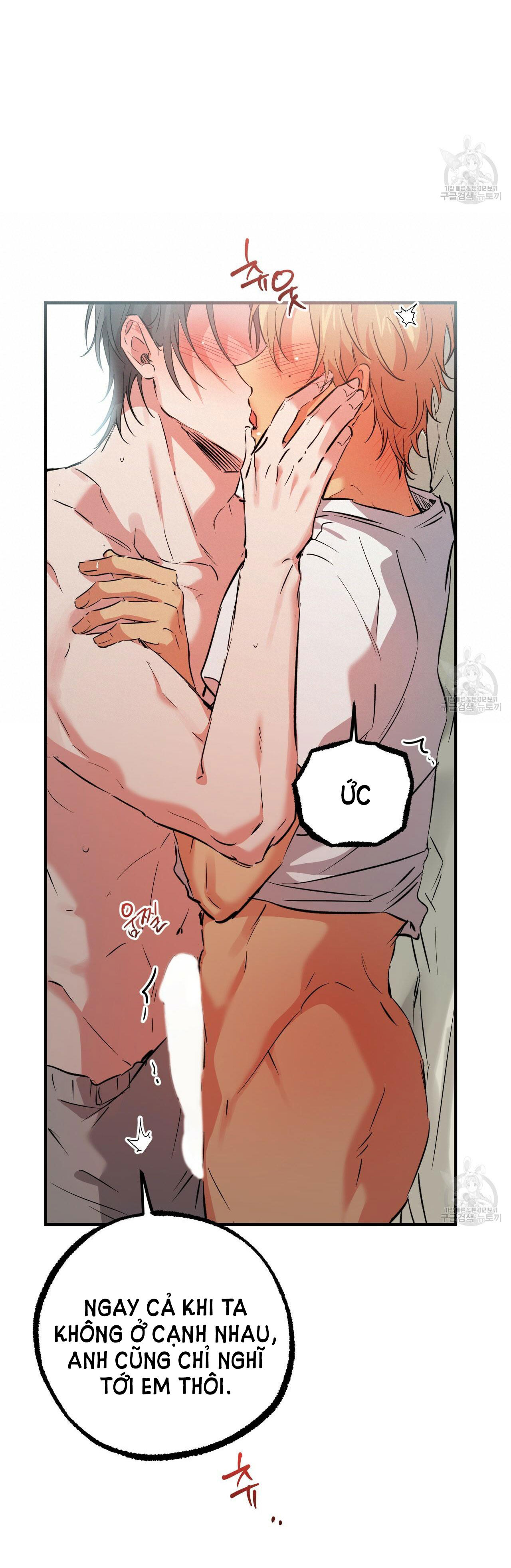 những chú thỏ của hapypy chapter 54.1 11