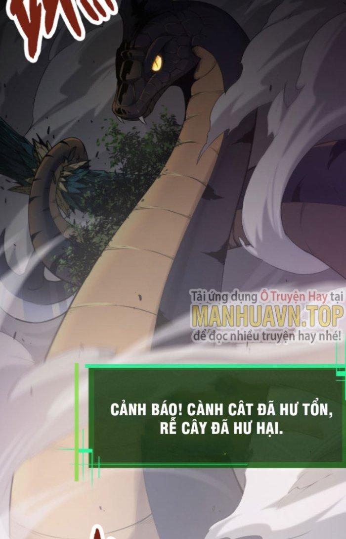 từ cây cổ thụ bắt đầu tiến hóa chapter 5 15