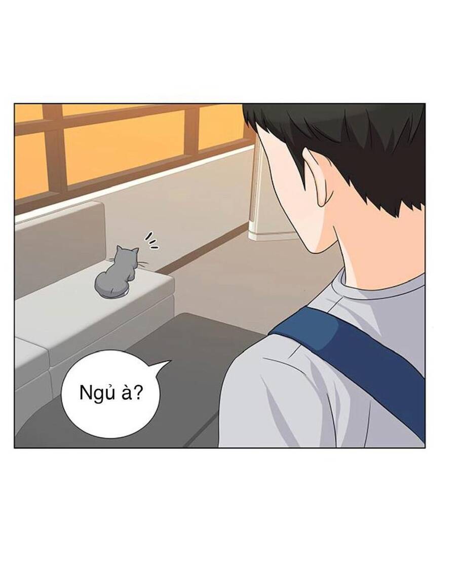 idol và sếp, em yêu ai? chapter 68 10
