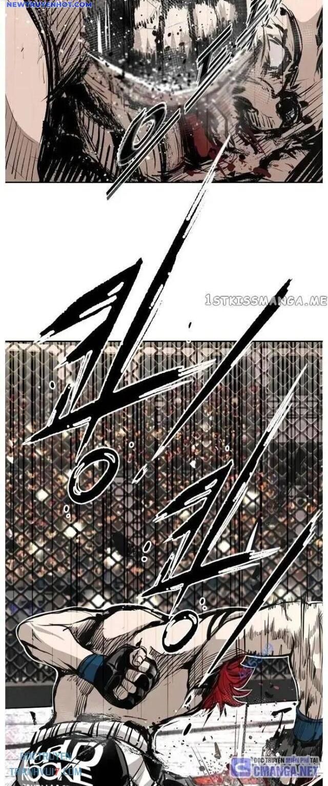 shark - cá mập chapter 156 32