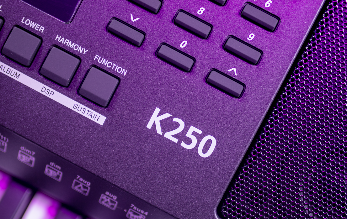 Đàn Organ điện tử/ Portable Keyboard - Kzm Kurtzman K250 - Perfect for Learning & Performing - Màu đen - Hàng chính hãng
