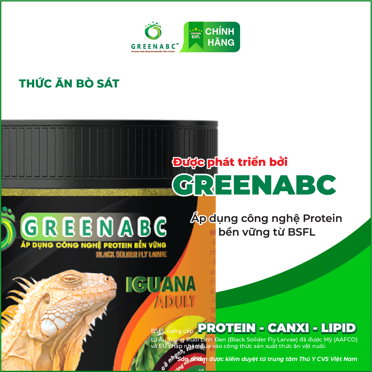 IGUANA TRƯỞNG THÀNH TĂNG CƯỜNG BÍ ĐỎ - Thức ăn BÒ SÁT cho Rồng Nam Mỹ trưởng thành TĂNG CƯỜNG BÍ ĐỎ từ 1m trở lên TĂNG SIZE, TĂNG MÀU, GAI BUNG, DÁNG ĐẸP, KHỎE MẠNH