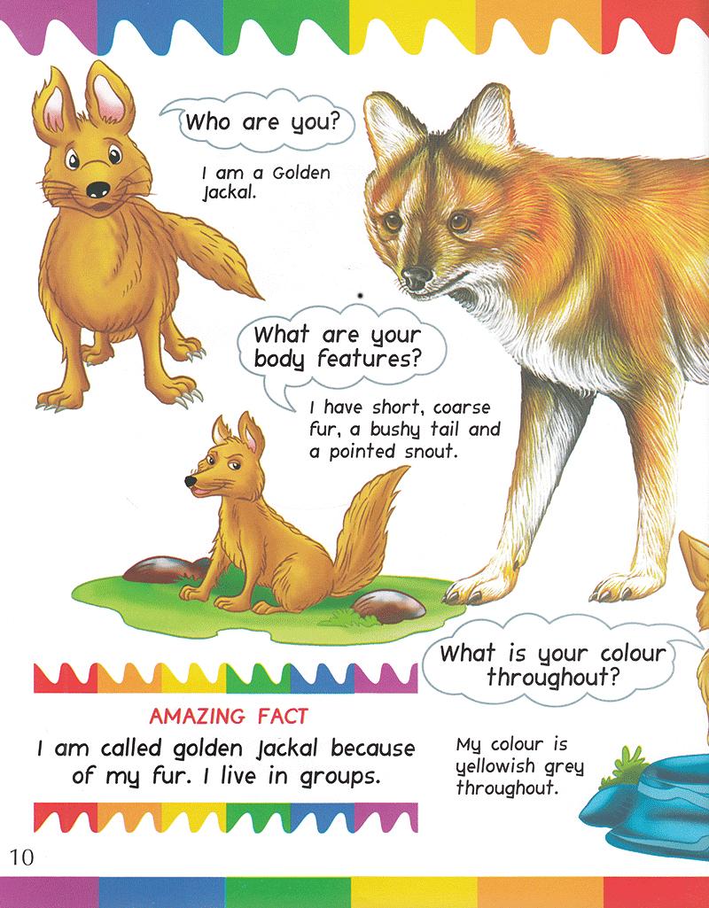 My First Questions &amp; Answers - Dogs