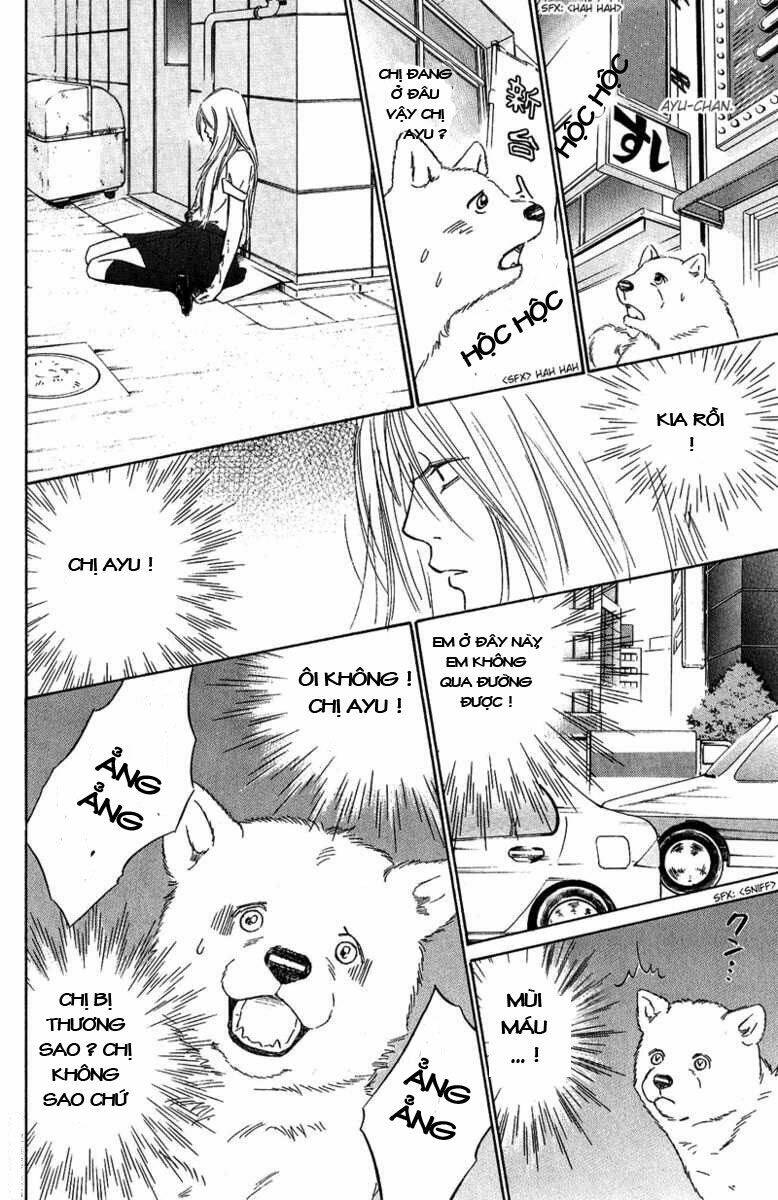 deep love - pao no monogatari chapter 8 17