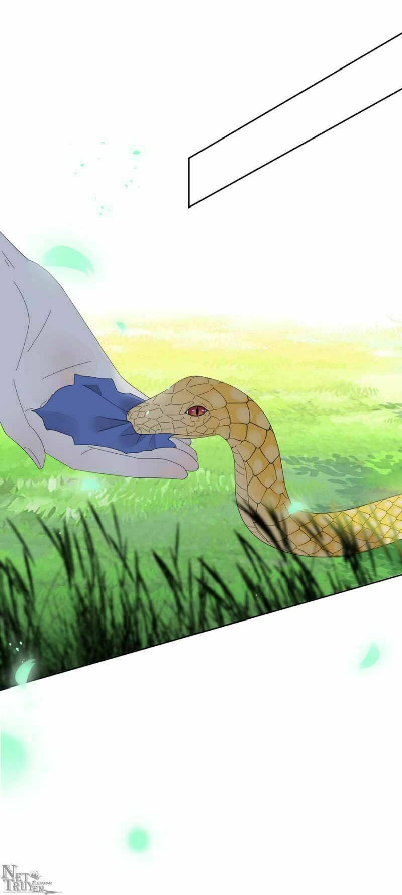 dục hỏa độc nữ chapter 104 18