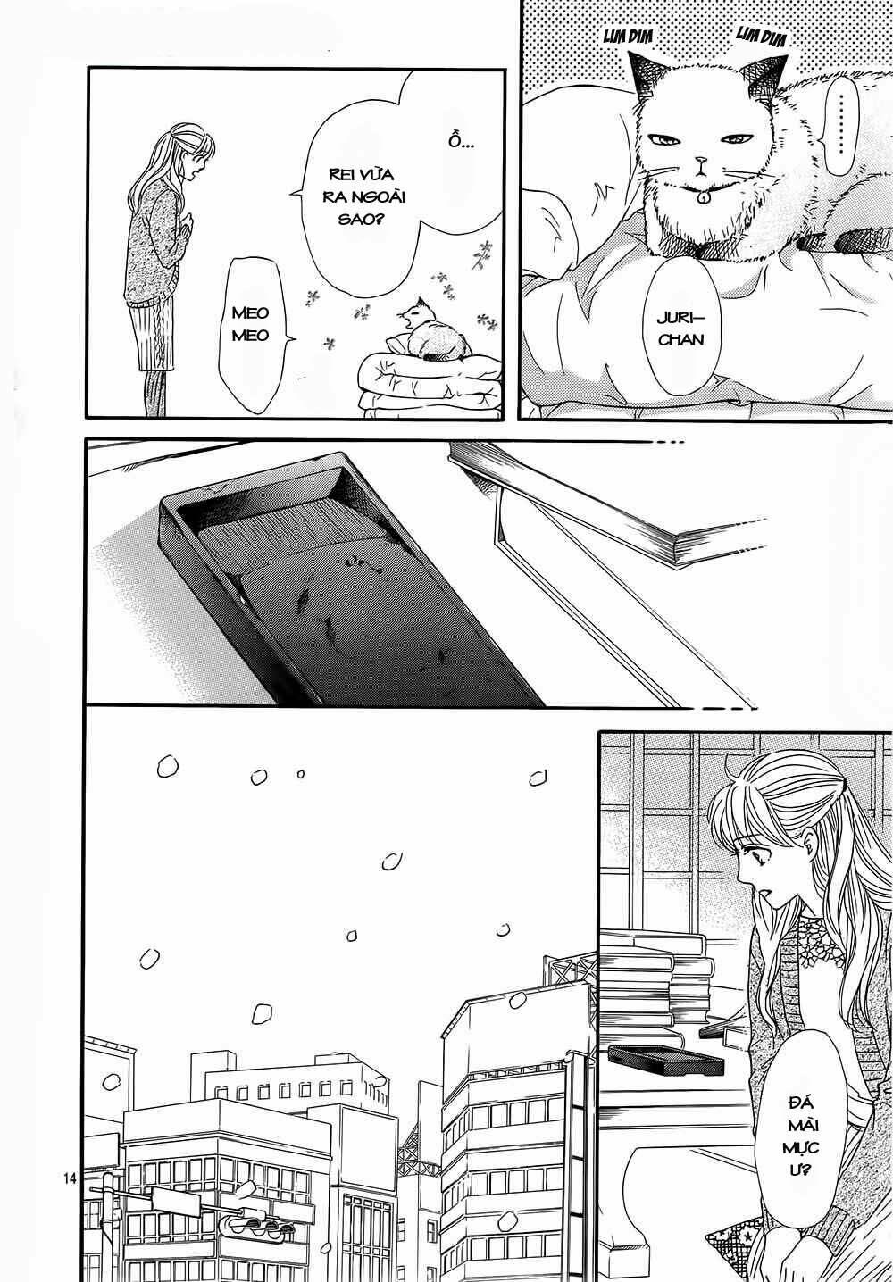 sumika sumire chapter 13 17