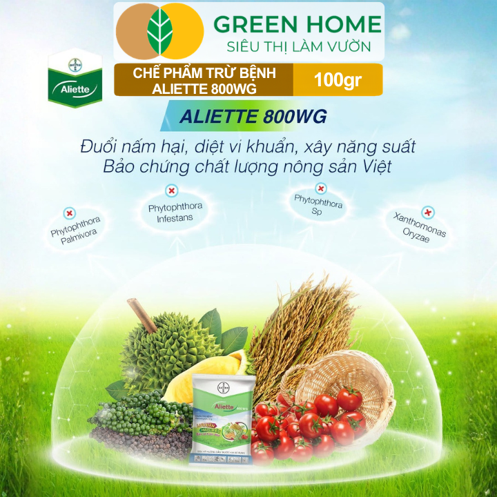 Chế Phẩm Trừ Bệnh Aliette 800WG GreenHome, Gói 100gr, Đặc Trị Thối Rễ, Lở Cổ Rễ, Xì Mủ Cho Cây Trồng