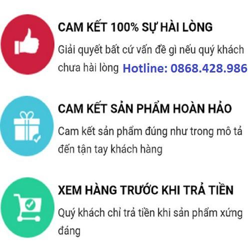 Máy rửa xe M3 tặng kèm bình bọt tuyết