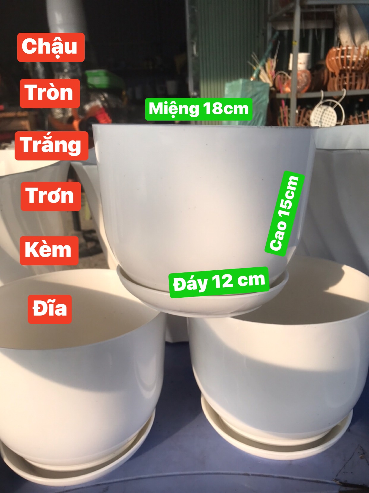 Chậu nhựa Trồng Cây Để Bàn Trắng giả Sứ kt 180x130 Có Kèm Đĩa Lót