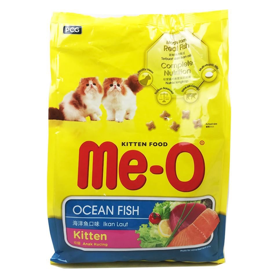 Hạt meo mèo con