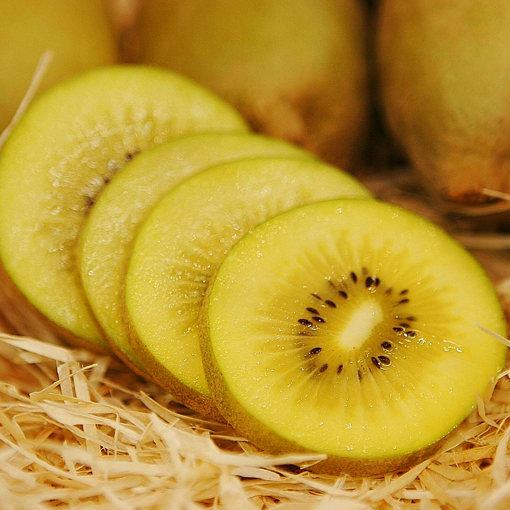 Kiwi Vàng