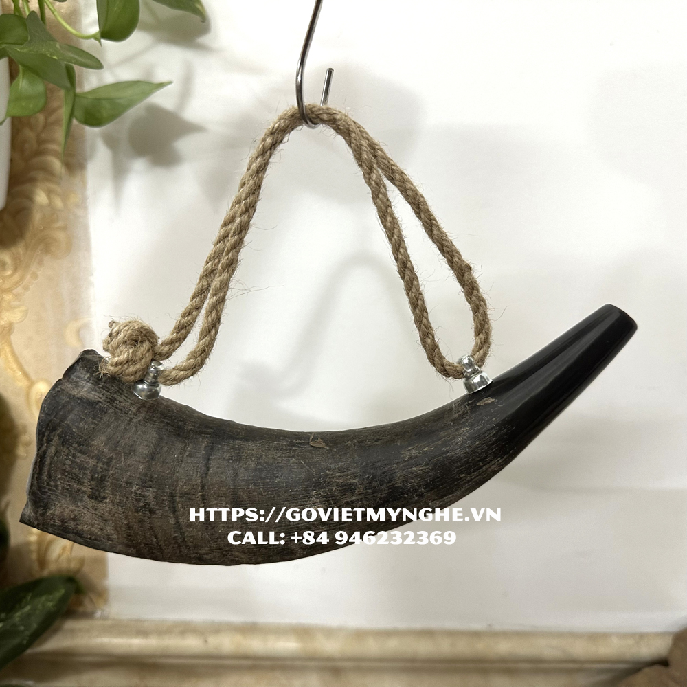 Kèn tù và sừng trâu - Dài 25cm - Loại sừng trâu thô