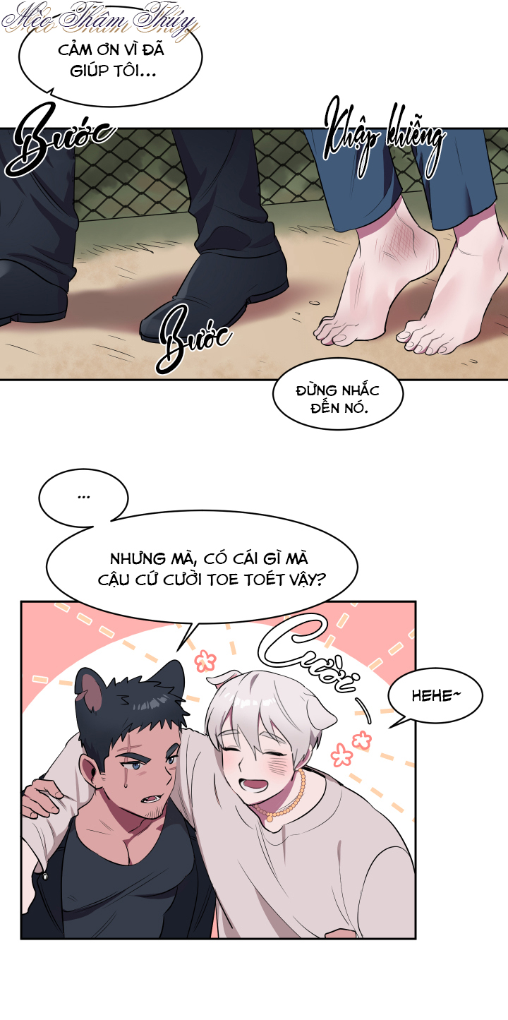 tình đầu chapter 1 21