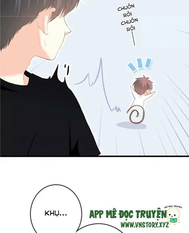 con tim rung động 2 chapter 34 42