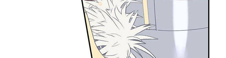 công chúa của loài chim chapter 49 304