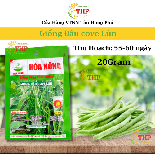 Hạt giống Đậu Cove Lùn | Hạt Giống | gói 20gr