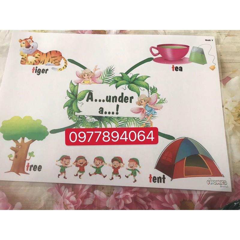 Mindmap MY PHONICS 2( Size A3- ép plastics)