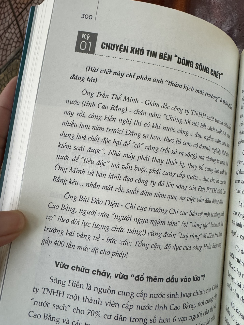 NỬA DÒNG MÁU MANG MÀU DIỆP LỤC  – Đỗ Doãn Hoàng &amp; Hoàng Văn Chiên – Liên Việt – NXB Văn Học