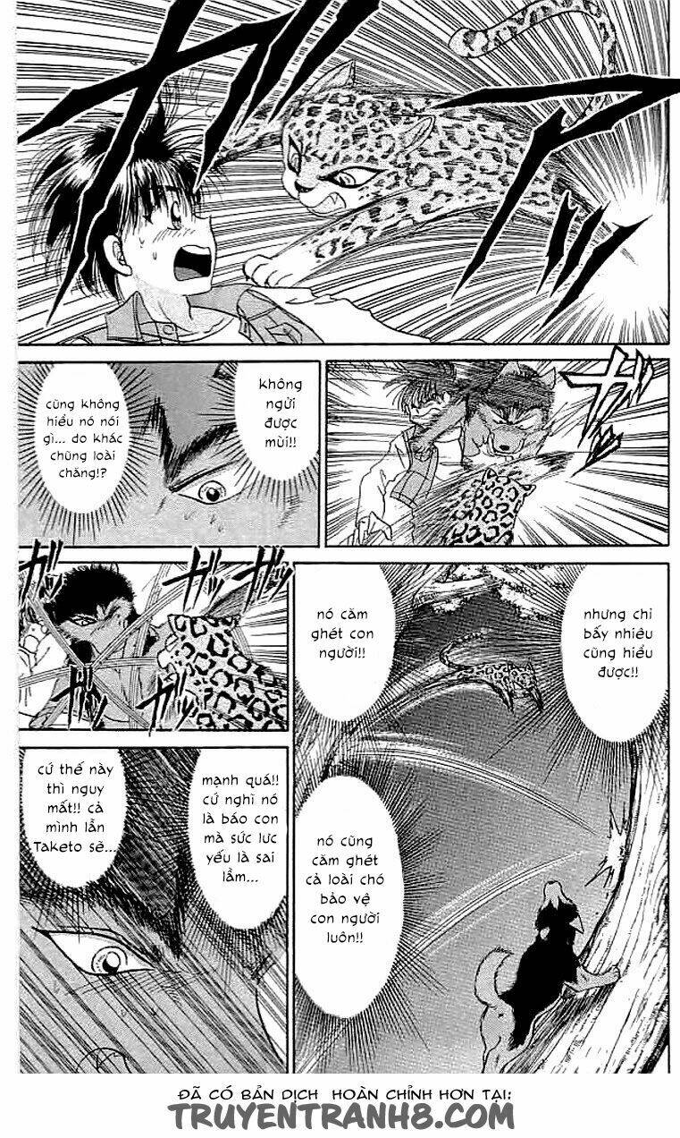 wild half chapter 16 7