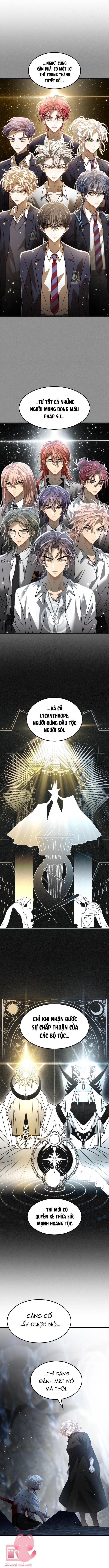 trăng tối: tế đàn máu chapter 68 11