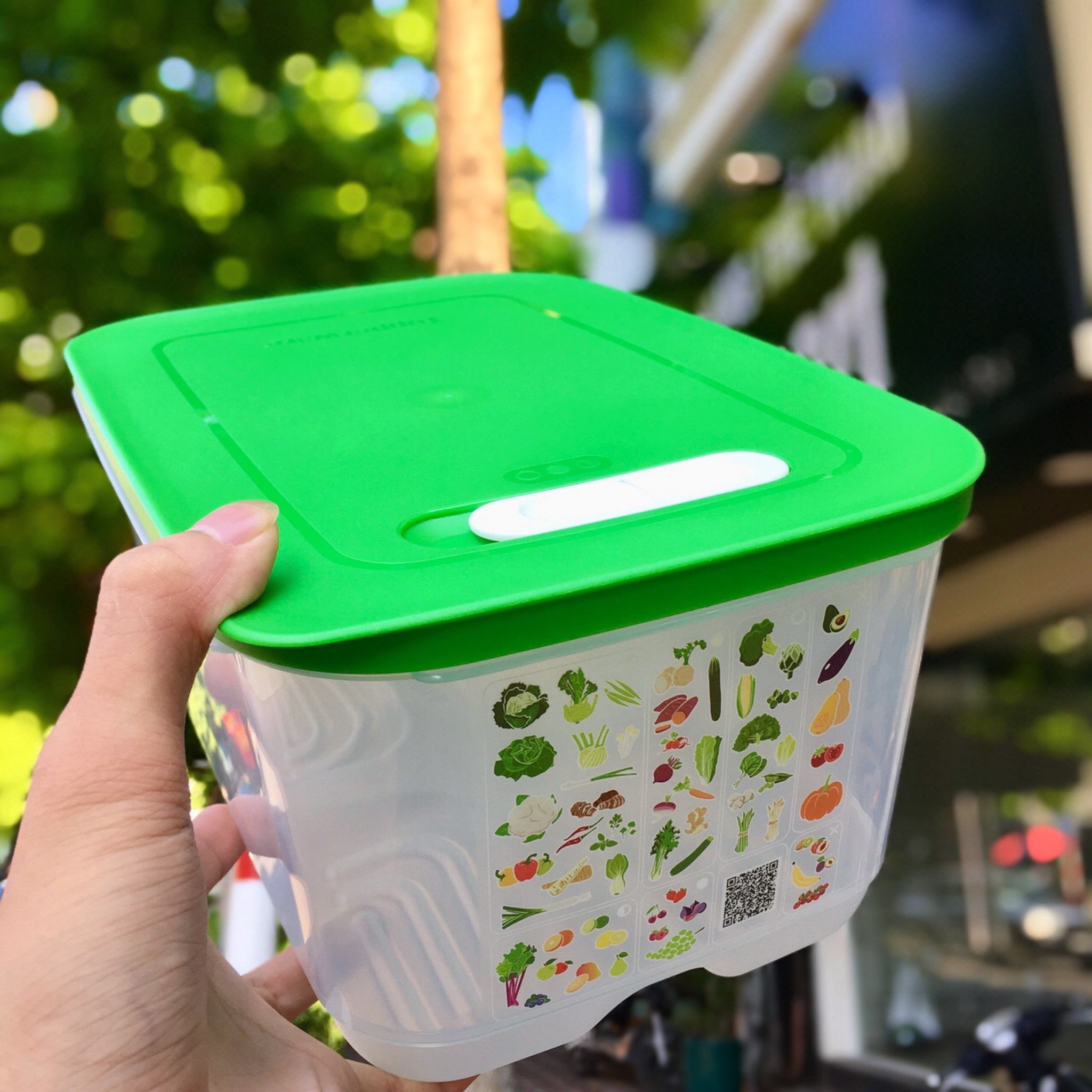 Bộ Hộp Tupperware Trữ Mát Có Nút Hô Hấp Ventsmart 6 Hộp - Nữ Hoàng Trữ Mát - Tươi Đến 3 Tuần