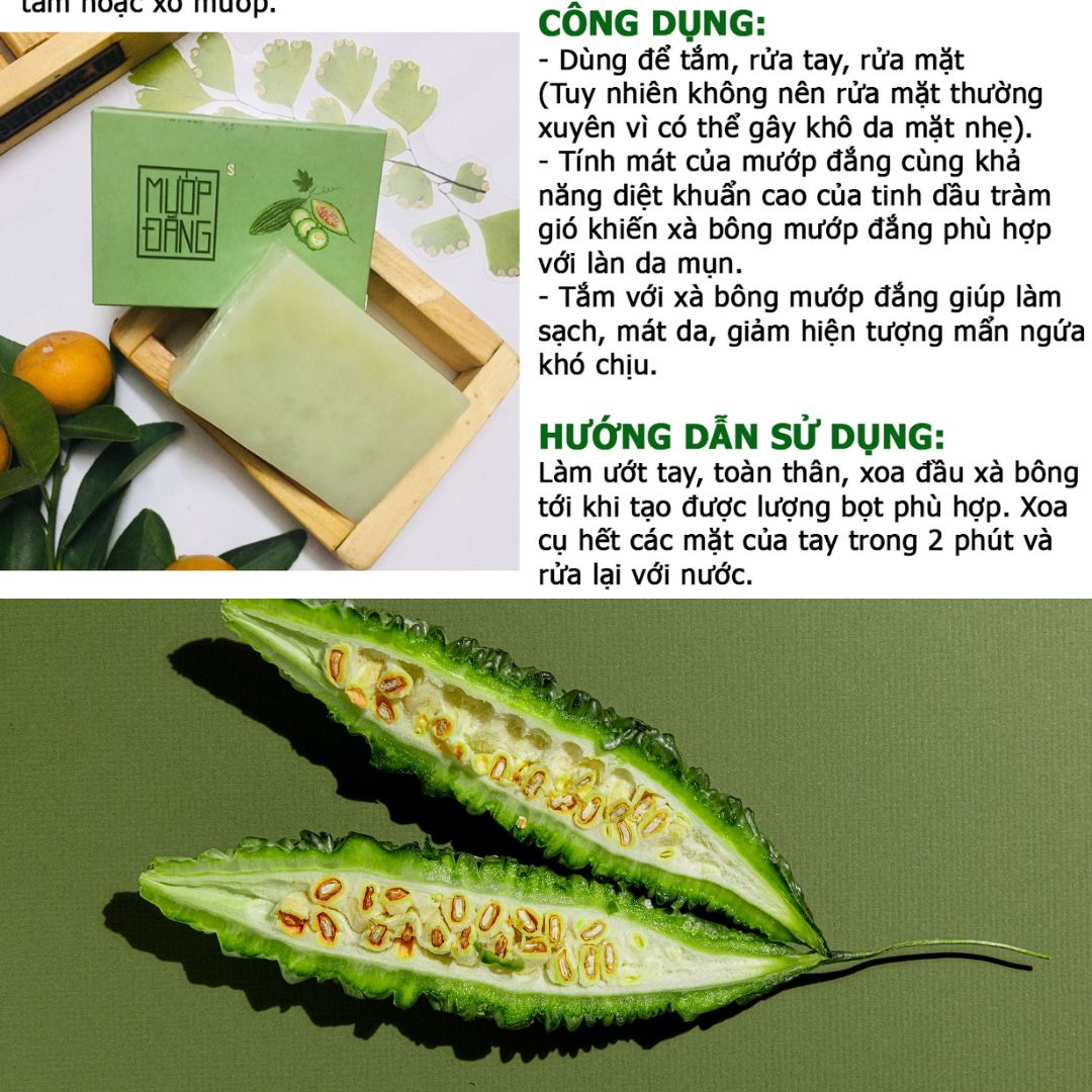 Xà bông mướp đắng Sinh dược - 100g/ bánh