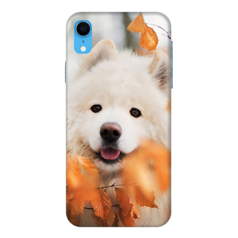 Ốp Lưng Dành Cho Điện Thoại iPhone XR Mẫu 4
