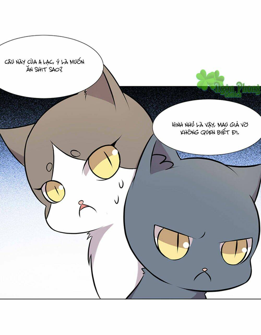 hai chú mèo totem chapter 39 6
